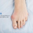 힘내라정형외과병원