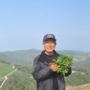 임실반디울농장 | 하늘에 맡기다. 신이 하는 농사, 4무(無)농법, 자연농법. - 임실 반디울농장