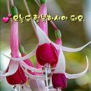 아량 이미지