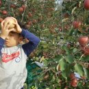 미서농장 이미지