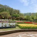 자연생태공원 자연생태박물관 이미지