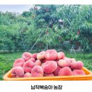펀플레이팜