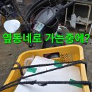 나눔약초 Daum카페