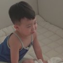 태하 카카오 검색결과