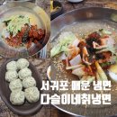 다슬이네칡냉면 | 서귀포 매운 냉면 다슬이네칡냉면 살얼음 동동 제주도 도민 맛집