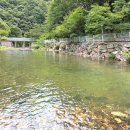 황토펜션 | 전주 근교 대전 1시간 아기랑 완주 운주계곡 대둔산 비둘기황토펜션 2단지 후기