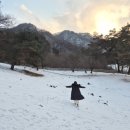 풍선목장 | [#9 가성비 결혼준비] 춘천 해피초원목장에서 셀프웨딩스냅 찍기/다이소부케조화만들기