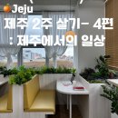 제주 2주살기 4편: 제주에서의 일상 - 매일 글 쓸 곳이 생기다! , 가시어멍 김밥, 섬타르