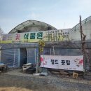 월드꽃식물원