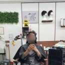 태라헤어 이미지
