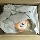타카라 - 김해시 | 별의커비 웨이들디 타카라토미 촛코리상 누이구루미 굿즈 후기