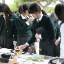 대건중학교 이미지