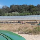 염소농장 이미지