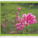 1945김근치과의원 이미지