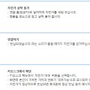 둔산대공원 입구(버스정류장) 이미지
