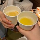 동광로24길 13 | [2603] 제주도 뚜벅이 여행 with 리메