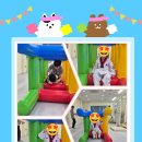 라이온태권도장 이미지