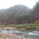 낙동강변3 이미지