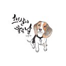 2018032 이미지