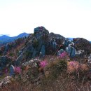 해남3호 이미지