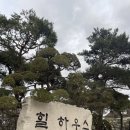 칸트하우스 | 양평 대형 베이커리 카페 힐하우스 칸트의마을 솔직한 후기