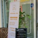 끌리제 속눈썹 이미지