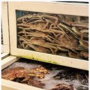 착한할인마트 이미지