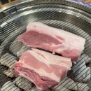 제주돈 도야지 이미지