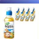 꿀떡꿀떡 | 하늘보리 유기농 보리차 200ml 24개입 맹물은 못 참아도 이건 꿀떡꿀떡! 마성의 유기농 보리차 후기