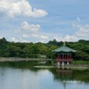 말박물관 | 국립중앙박물관 7월말 방문 후기 ( Ft. 방학 때는 가는 것이 아니었다.. )