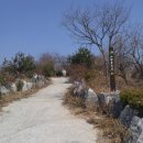 도랑골손맛