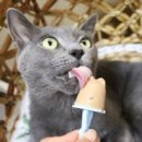 제이원피앤지 이미지