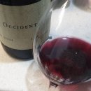 옥시덴탈, 프리스톤 피노누아 2022 Occidental, &#39;Freestone-Occidental&#39; Pinot Noir 2022
