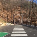 영등정형외과의원 | 8월 숲여행지 엄선 베스트6
