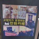 만화까페빈둥 이미지