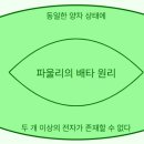 파울리