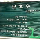 면목동 느티나무 이미지