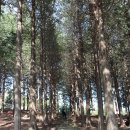 연정에너지 이미지