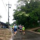 2013년 5월 19일 한마음 축제 - 무당나무에서 만가대사거리 이미지