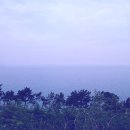 오늘바다 이미지