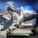 씨~월드 이미지