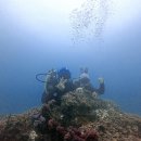 신중로13번길 이미지