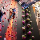 몬스터 스포츠 이미지