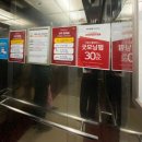 은평구미용실 이가자헤어비스 수색이마트점 비너스 오가닉케어후기