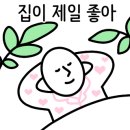 나이스케이스 이미지