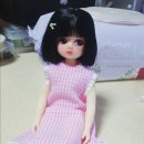 어레인지먼트 이미지