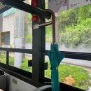 서리풀길 20 이미지