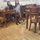 쿠스코 한식 안녕쿠스코 후기