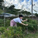 한옥규희 | 대전 촌캉스 숙소 논산 한옥펜션 규희 독채 후기