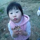 예닮농장 이미지